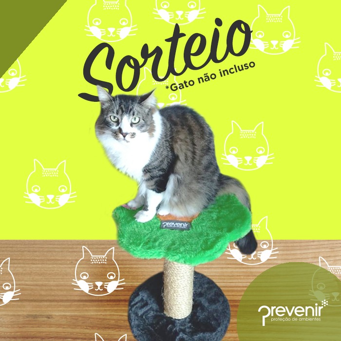 WhatsApp Image 2018-03-22 at 11.13.18 AM.jpeg