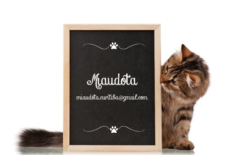 adotar gato miaudota