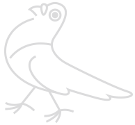 Telas de Prote&ccedil;&atilde;o Curitiba, Telas de Prote&ccedil;&atilde;o | Prevenir Prote&ccedil;&atilde;o de Ambientes