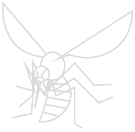 Telas de Proteção em Curitiba, Telas de Proteção | Prevenir Proteção de Ambientes