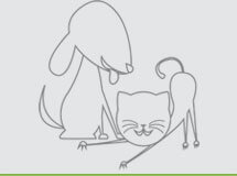 Telas de Prote&ccedil;&atilde;o Curitiba | Redes Prevenir